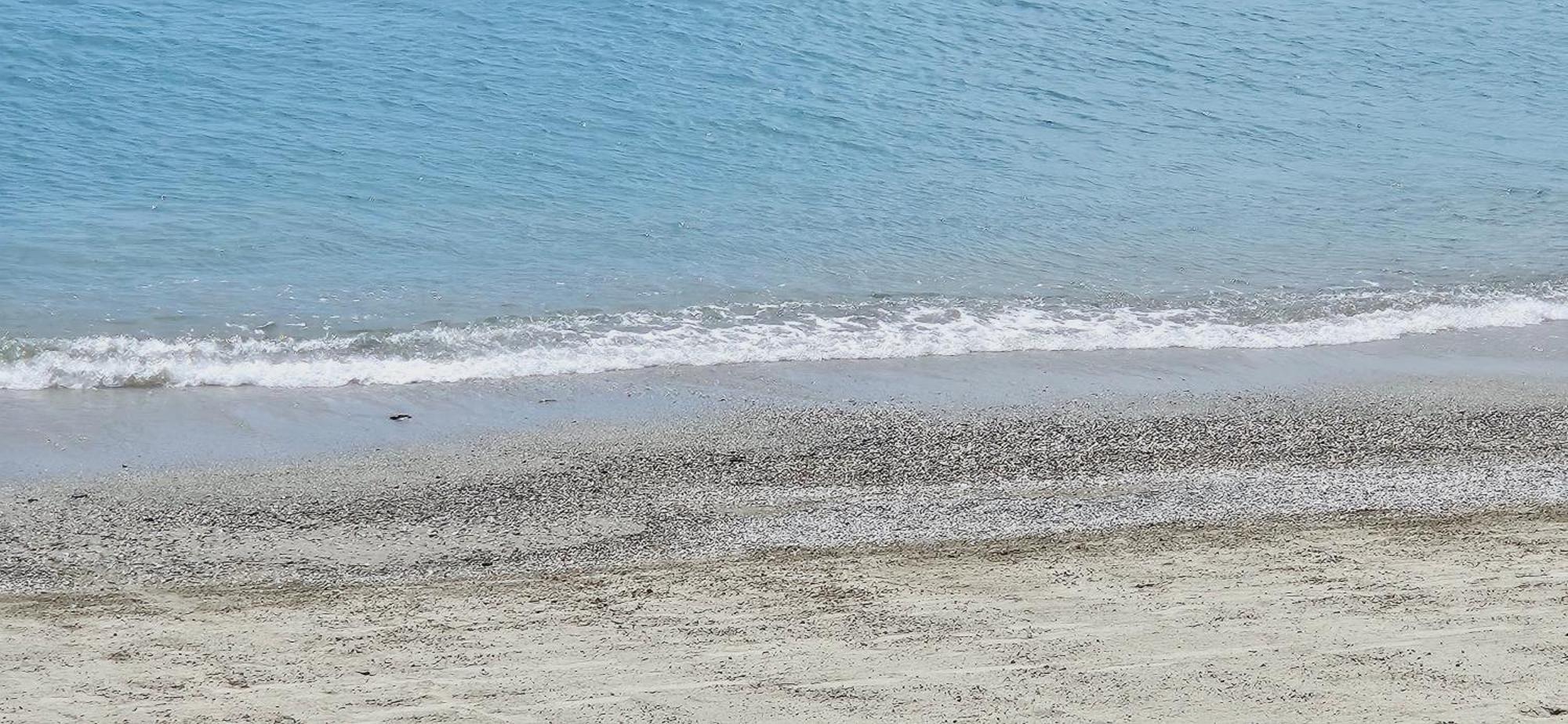 Vista Mare Savona Apartman Kültér fotó